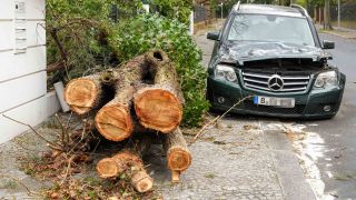 Das Orkantief "Zeynep" hat in Berlin Grunewald sein Spuren hinterlassen.Ein Baum ist entwurzelt und ist auf ein Auto gefallen. (Quelle: Stefan Zeitz via www.imago-images.de)