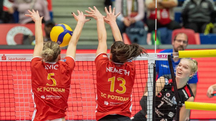Spielszene aus Dresden gegen SC Potsdam in der Volleyball-Bundesliga. (Bild: IMAGO / jmfoto)
