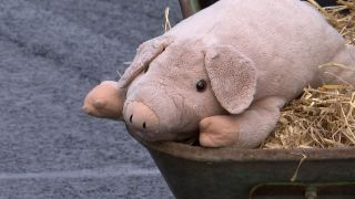 Ein Plüschtier-Schwein liegt auf Stroh in einer Schubkarre.