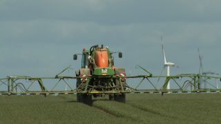 Einsatz von Pestiziden in der Landwirtschaft, Bild: rbb