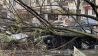 Ein Baum ist am 17.02.2022 in Berlin-Kreuzberg umgestürzt und auf Autos gefallen. (Quelle: dpa/Gerd Roth)