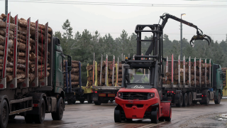 Mit Holz beladene LKWs warten auf Ladungslöschung durch einen Gabelstapler. (Quelle: rbb)