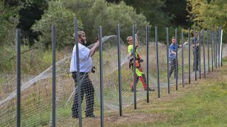 Mitarbeiter des Landesbetriebes Forst Brandenburg errichten nahe dem deutsch-polnischen Grenzfluss Neiße einen festen Zaun gegen die Afrikanische Schweinepest. (Quelle: dpa/Patrick Pleul)