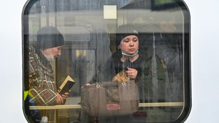 Eine Frau mit einem kleinen Hund schaut aus dem Fenster in einem Zug aus Warschau (Polen) mit Kriegsflüchtlingen aus der Ukraine, der am Bahnsteig vom Bahnhof Frankfurt (Oder) steht. (Quelle: dpa/Patrick Pleul)