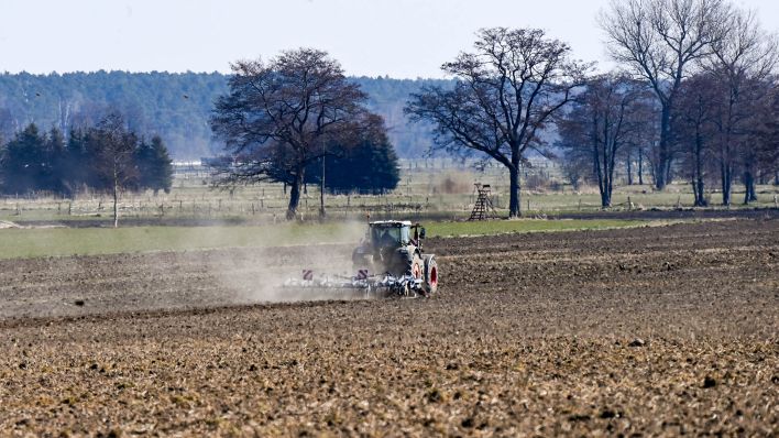 Archivbild: Ein Traktor ist auf einem trockenen Acker bei der Feldarbeit im Einsatz. (Quelle: dpa/J. Kalaene)