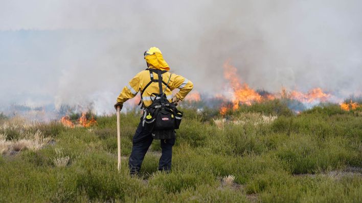 Archivbild: Ein Feuerwehrmann vom Katastrophenschutz steht in Brandenburg vor einer brennenden Heidefläche. (Quelle: dpa/J. Catstensen)
