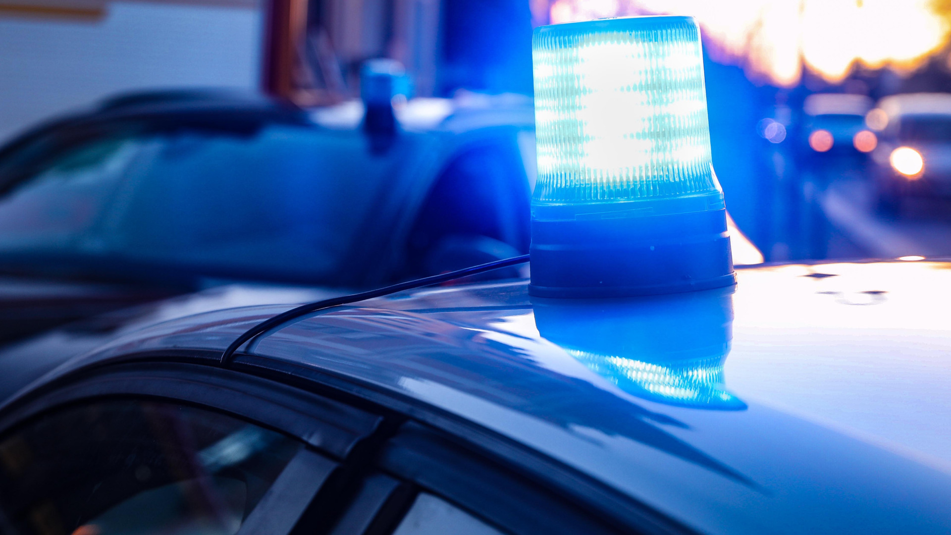 Eingeschaltetes Blaulicht auf dem Dach eines Polizeifahrzeuges. (Quelle: dpa/Tino Plunert)