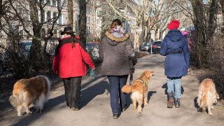 Symbolbild: Hundebesitzerinnen gehen mit ihren Hunden im Park spazieren. (Quelle: dpa/R. Günther)