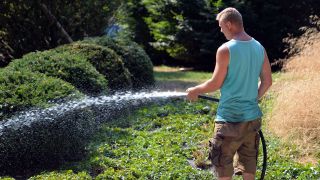 Symbolbild: Ein Mann bewässert Pflanzen und Sträucher in seinem Garten. (Quelle: H. Tittel)
