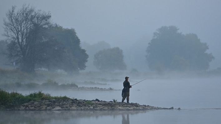 Ein Angler steht im Morgennebel kurz vor Sonnenaufgang auf einer Buhne am deutsch-polnischen Grenzfluss Oder. (Quelle: Patrick Pleul/dpa)