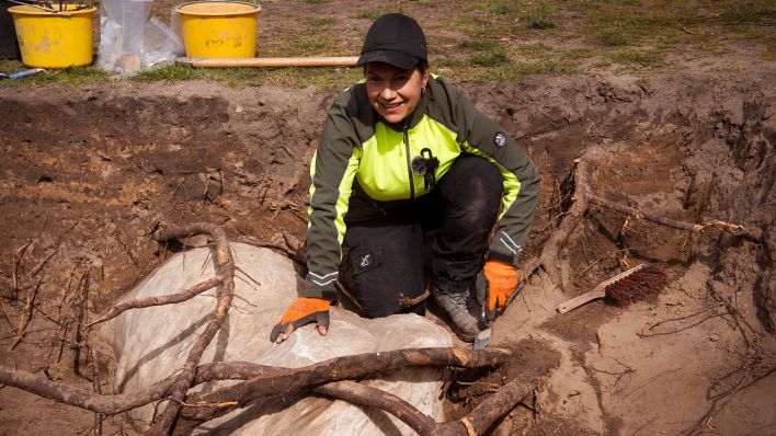 Bei einem Pressetermin zeigt Archäologin Claudia M. Melisch die wiederentdeckte Marmorskulptur eines Stieres im Volkspark Humboldthain. (Quelle: dpa/Paul Zinken)