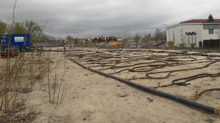 Eine von zwei Versickerungsflächen, wo das abgepumpte Grundwasser wieder in die Erde geleitet wird. (Quelle: Stadt Oranienburg)