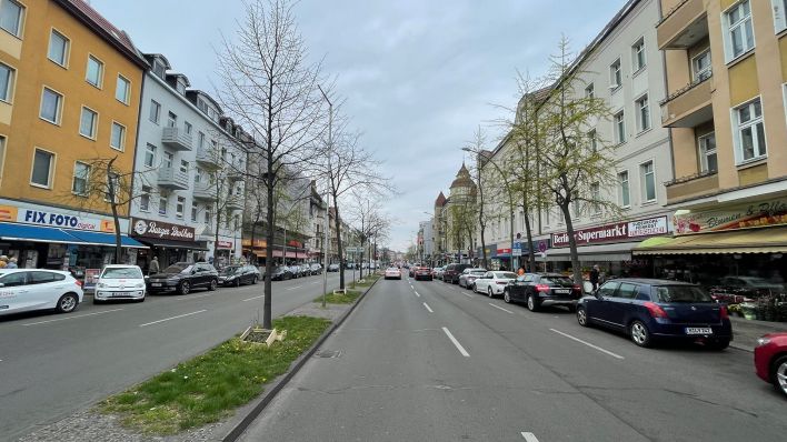 Ginkgo-Bäume in einer Straße in Berlin-Tegel (Quelle: rbb/Matthias Bartsch)