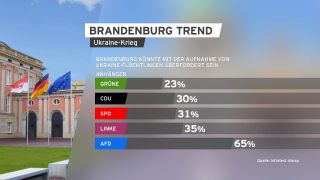 Grafik: Brandenburg Trend - Ukraine-Krieg. (Quelle: rbb)