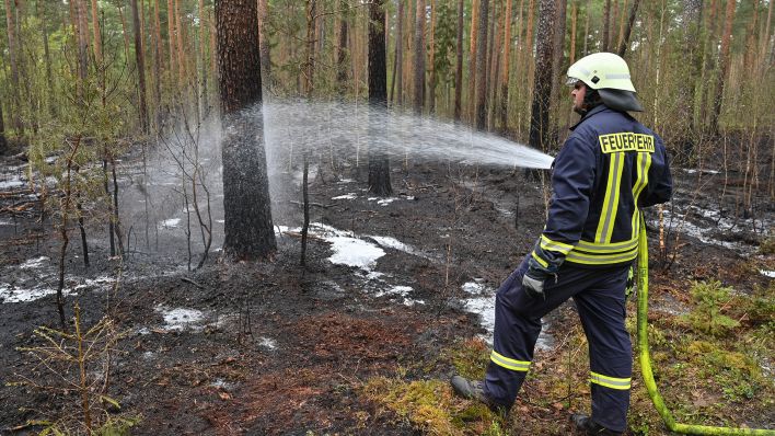 Ein Mitglied der Feuerwehr löscht letzte Glutnester nach einem Waldbrand. (Quelle: dpa/Patrick Pleul)