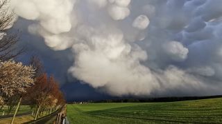 Mammatuswolken bei einem Gewitter bei Müllrose (Oder-Spree). (Quelle: dpa/Stormchaser Brandenburg)