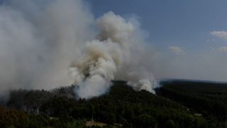 Nahe Beelitz (Potsdam-Mittelmark) brennt ein Wald. (Bild: NonStopNews)