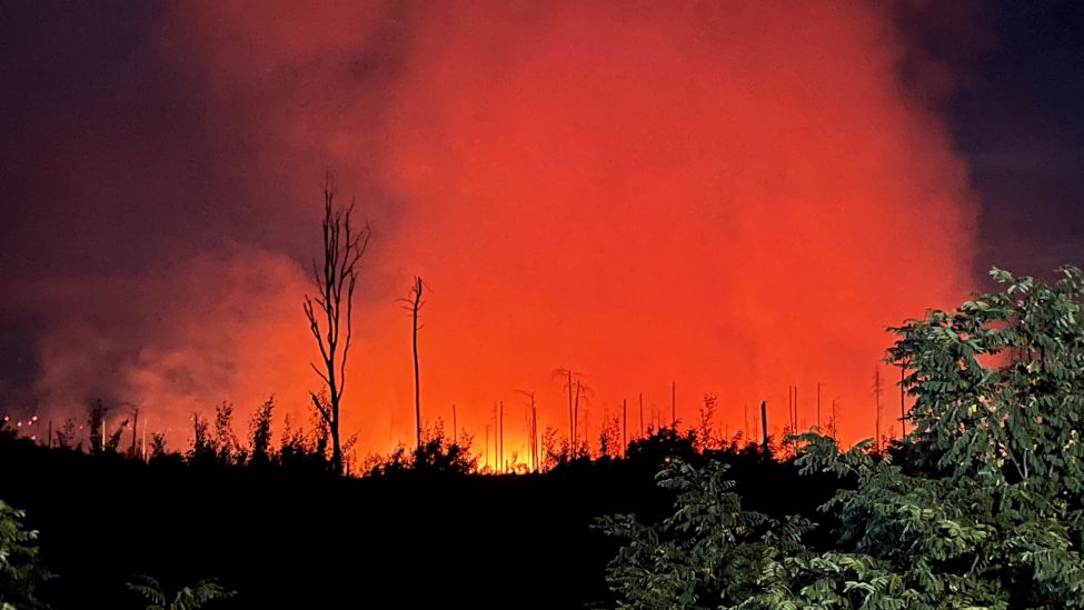 Rot erleuchtet ist der Nachthimmel durch das Feuer eines Waldbrands. (Quelle: dpa/Guttmann)