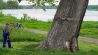 Ein Baum im brandenburgischen Ratzdorf (Oder-Spree) am deutsch-polnischen Grenzfluss Oder mit der Hochwassermarkierung von 1997, aufgenommen am 18.05.2010. (Quelle: dpa/Patrick Pleul)
