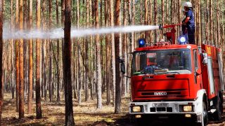 Die Feuerwehr löscht Glutnester in einem Wald in Beelitz. (Quelle: dpa/C.Dettlaff)
