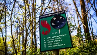 Ein Hinweisschild zur Waldbrandgefahrenstufe an einem Naturschutzgebiet in Brandenburg. (Quelle: dpa/R.Keuenhof)