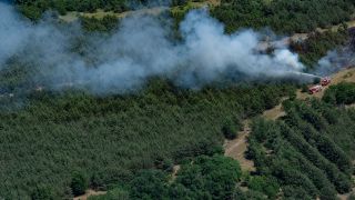 In einem Waldstück bei Jüterbog (Brandenburg) bekämpfen Feuerwehrleute einen Waldbrand. (Quelle: dpa/Paul Zinken)