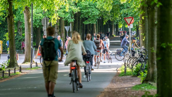 Symbolbild: Ein von Bäumen umgebener Fahrradweg (Quelle: dpa/Jochen Tack)