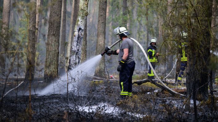 Symbolbild: Einsatzkräfte der Feuerwehr löschen Glutnester nach einem Waldbrand. (Quelle: dpa/Philipp Schulze)