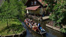Touristen fahren mit einem Kahn über ein Fließ (Wasserweg) im Spreewalddorf Lehde. (Quelle: dpa/Patrick Pleul)