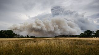 Rauch steigt aus einem Waldbrandgebiet in der Gohrischheide in den Himmel. (Quelle: dpa/Robert Michael)
