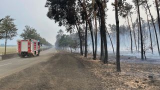 An der Landesgrenze von Brandenburg und Sachsen kämpft die Feuerwehr gegen einen Waldbrand. (Quelle: dpa/Julius-Christian Schreiner)