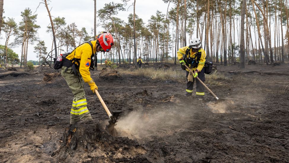 Zwei Feuerwehrfrauen bearbeiten den Waldboden. (Quelle: dpa/Daniel Schäfer)