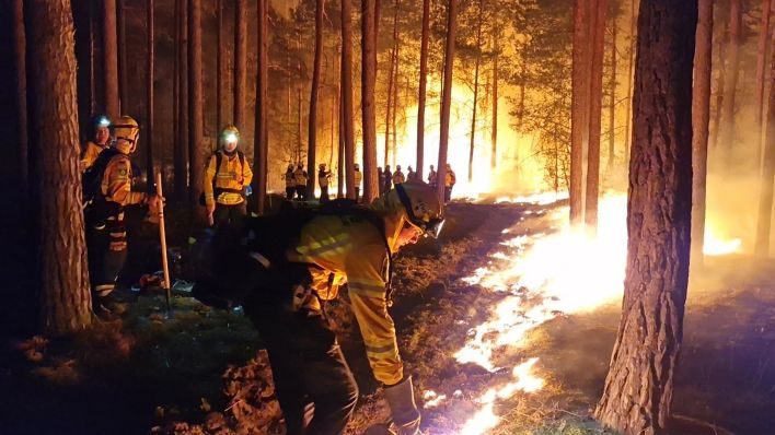 Einsatzkräfte der Hilfsorganisation @fire legen Gegenfeuer, um eine weitere Ausbreitung des Waldbrandes zu verhindern und die Feuerwehr bei der Bekämpung des Feuers zu unterstützen. Der Waldbrand bei Beelitz (Potsdam-Mittelmark) ist nach Angaben von Bürgermeister Bernhard Knuth (parteilos) unter Kontrolle. (Quelle: dpa/C. Dettlaff)