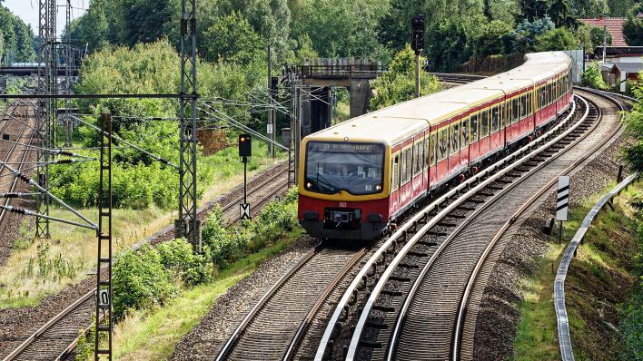 Eine S-Bahn der Linie S1 fährt bei Birkenwerder (Bild: imago images/Jürgen Heinrich)