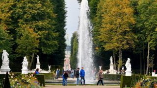 Archivbild: Herbstlaub bedeckt am in Potsdam (Brandenburg) eine Wiese im Park von Sanssouci. (Quelle: dpa/B. Settnik)