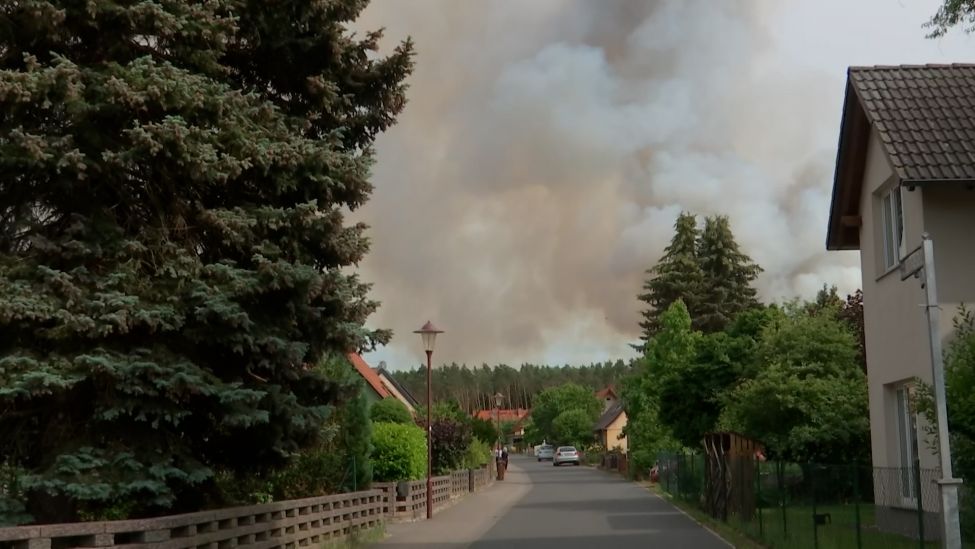 Waldbrand bei Treuenbrietzen (Quelle: rbb)