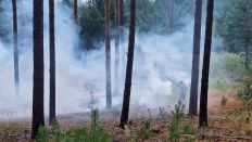 Brand in der Lieberoser Heide. (Quelle:rbb)