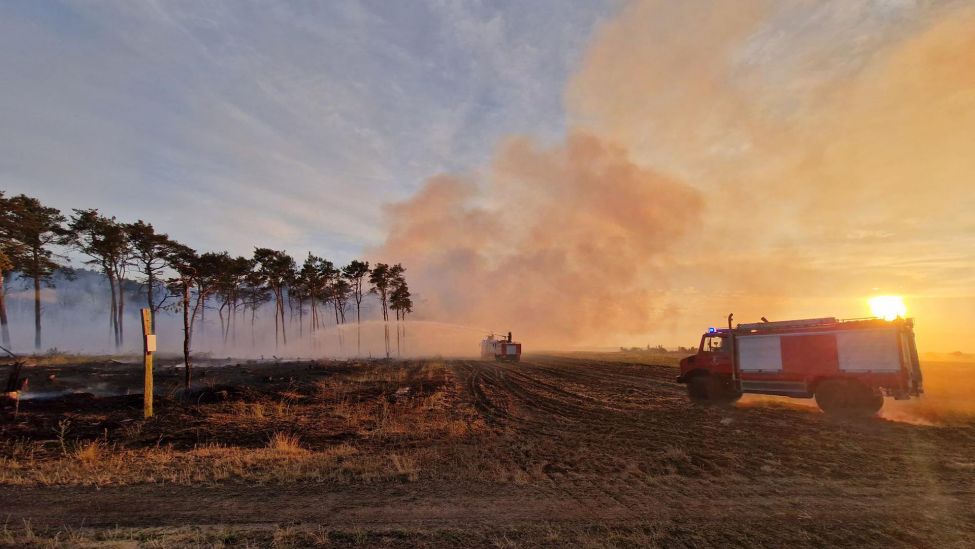 Die Feuerwehr bekämpft einen Wald- und Flächenbrand bei Mühlberg. (Quelle: rbb/Sebastian Schiller)