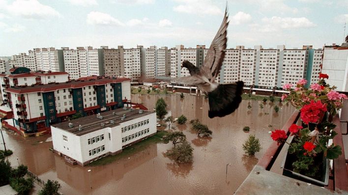 Eine Taube fliegt am 12.07.1997 über den überfluteten Stadtteil Kozanow der polnischen Stadt Breslau. (Quelle: dpa/Janek Skarzynski)