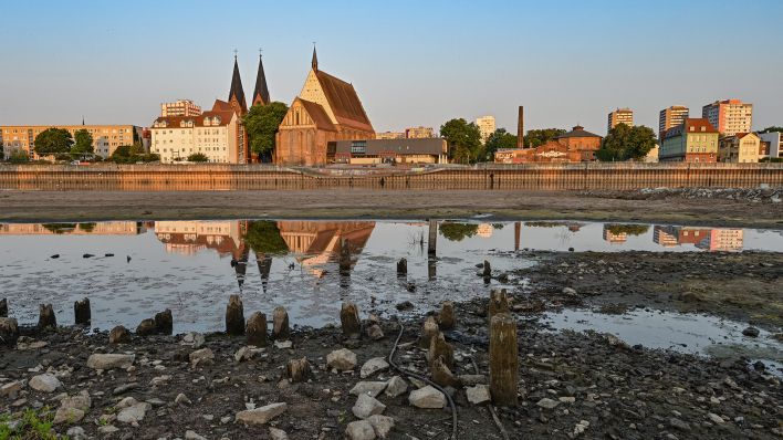 Blick am frühen Morgen des 20.07.2022 von der polnischen Seite über das Niedrigwasser des Flusses Oder auf die Stadt Frankfurt (Oder) in Brandenburg. (Quelle: dpa/Patrick Pleul)