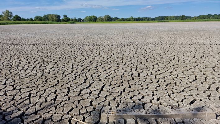 Wegen des Wassermangels führt die Plane bei Brandenburg/Havel am 29.07.2022 kaum Wasser und kann die benachbarten Fischteiche nicht mehr mit Wasser speisen. (Quelle: dpa/Kevin Dettlaff)
