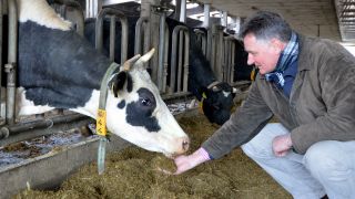 Archivbild: Ludolf von Maltzan füttert am 23.02.2015 in Brodowin eine Kuh (Quelle: dpa-Zentralbild/Bernd Settnik)