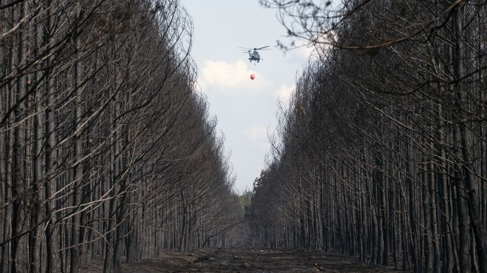 Archivbild: Ein Löschhubschrauber der Bundespolizei fliegt über einem verbrannten Waldstück. (Quelle: dpa/Ralf Hirschberger)