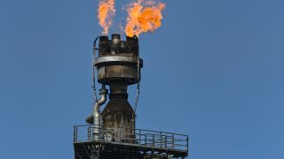 Archivbild: Überschüssiges Gas wird auf dem Industriegelände der PCK-Raffinerie GmbH verbrannt. (Quelle: dpa/P. Pleul)