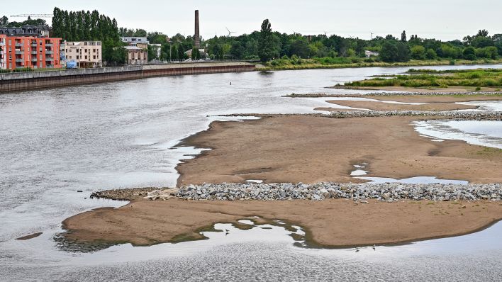 Archivbild: Blick von der polnischen Seite über das Niedrigwasser auf die Stadt Frankfurt (Oder) in Brandenburg. (Quelle: dpa/P. Pleul)