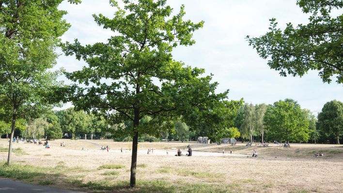Symbolbild: Im Volkspark Friedrichshain ist das Gras ausgetrocknet. (Quelle: dpa/C. Gateau)
