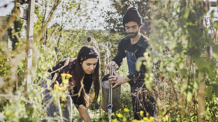 Eine Frau und ein Mann bewässern Pflanzen in einer Kleingartenanlage (Bild: imago images/Zoi)