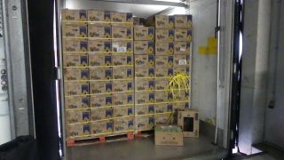 Polizei Brandenburg hat 660 Kilogramm Kokain im Marktwert von rund 50 Millionen Euro sichergestellt (Quelle: Polizei Brandenburg)