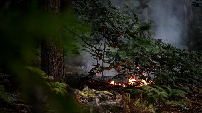Flammen lodern am 09.08.2022 in einem Brandnest im Grunewald in der Nähe des Sprengplatzes (Quelle: dpa/Britta Pedersen)