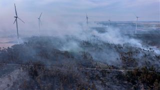 Archiv:Rauchschwaden hängen am frühen Morgen über einem Waldgebiet während eines Waldbrandes. Die Feuerwehr in Brandenburg kämpft weiter gegen einen großen Waldbrand im Landkreis Elbe-Elster. (Foto: Jan Woitas/dpa)